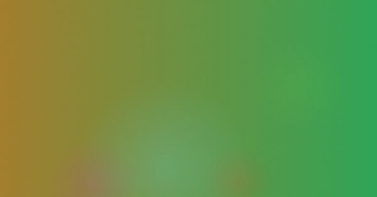 风月电影避坑：别把情色当质量